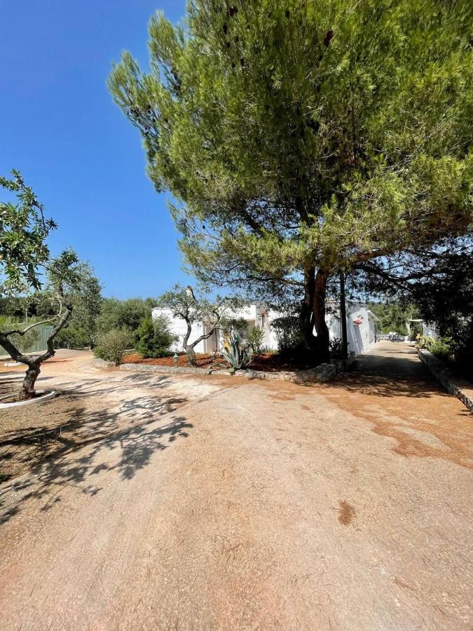 Residenza Fumarola Apartment Ostuni Ngoại thất bức ảnh